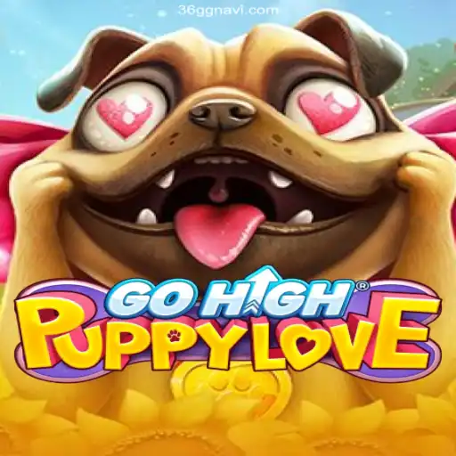 Discovering GoHighPuppyLove: An Exciting New Adventure