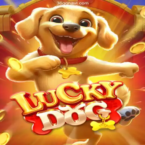 Exploring the Exciting World of LuckyDog: An Insight into Brazil's Popular Casino Game